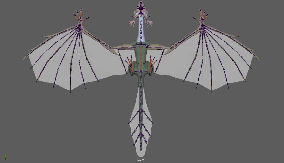 Wyvern_rig_joints
